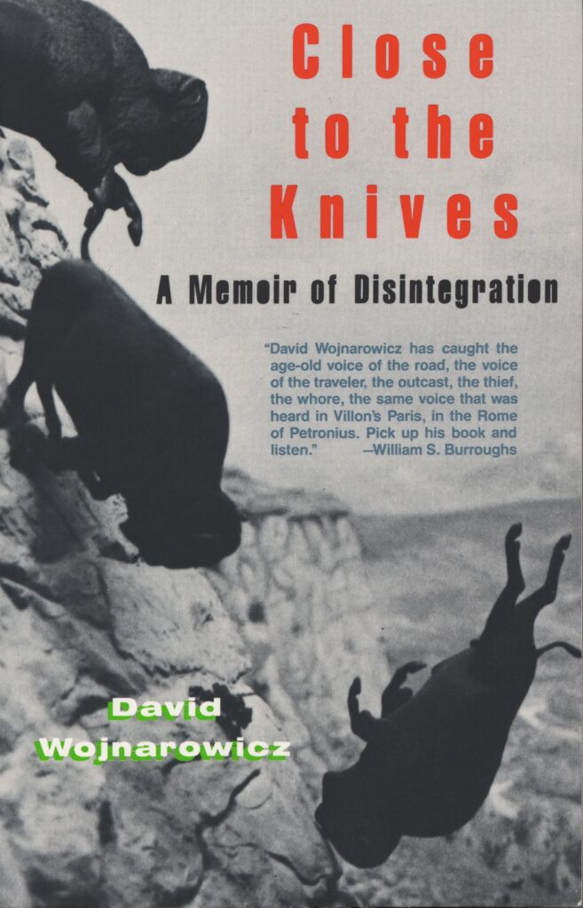 David Wojnarowicz, Close to the Knives: A Memoir of Disintegration, 1991