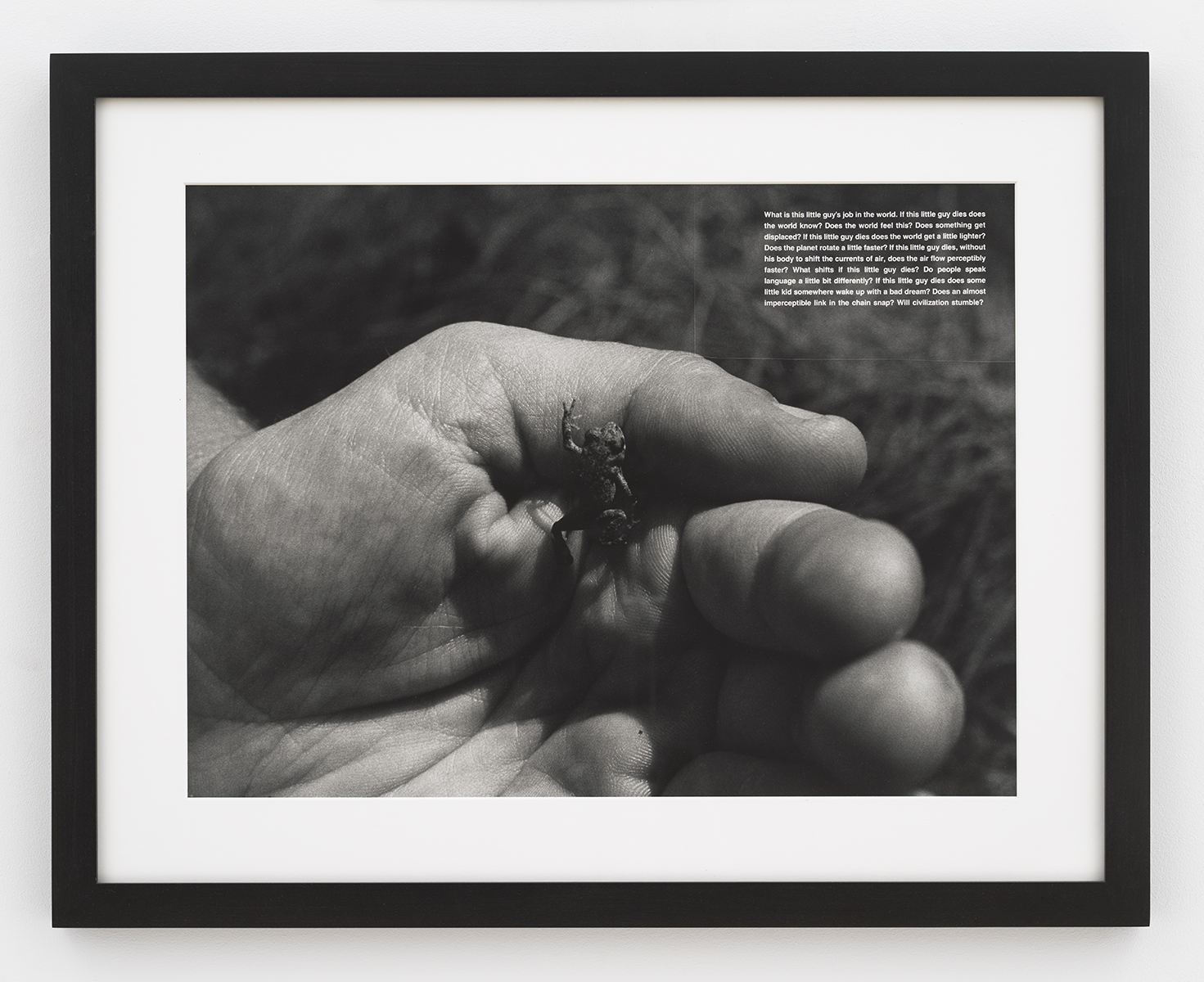 What is this Little Guy's Job in the World, 1990. Silver gelatin print, 13.75 x 18.625 in.