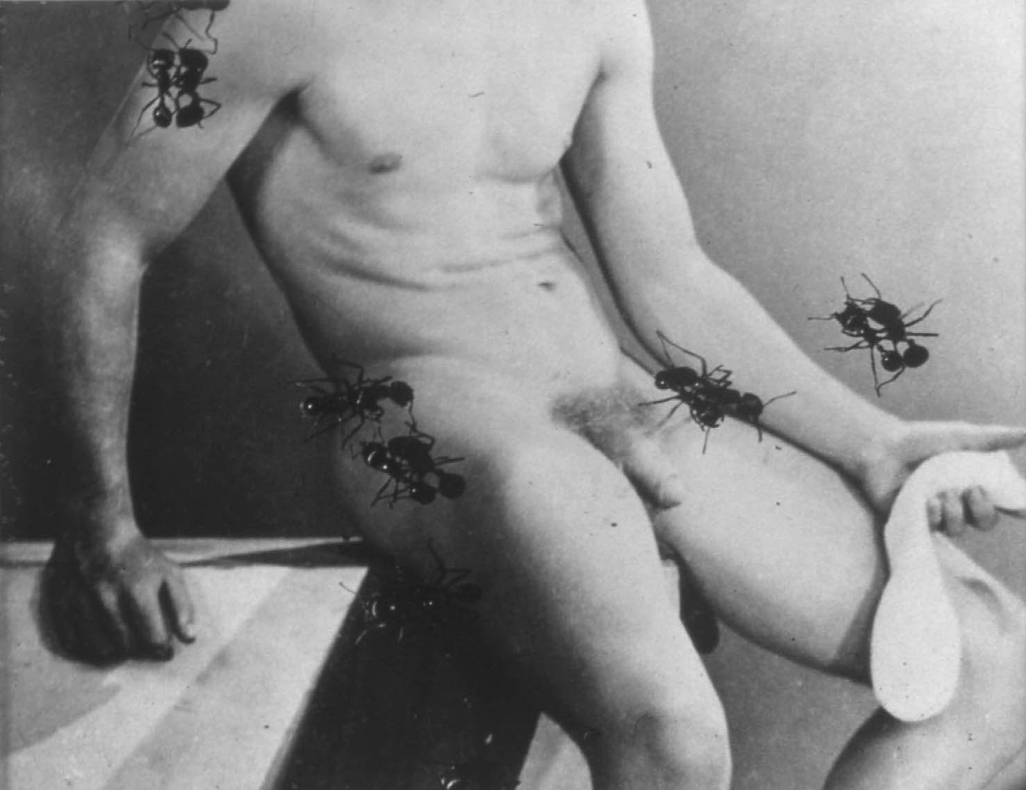 Untitled (Desire), 1988,  from Ant Series. Gelatin silver print on paper, 40.5x47 in.