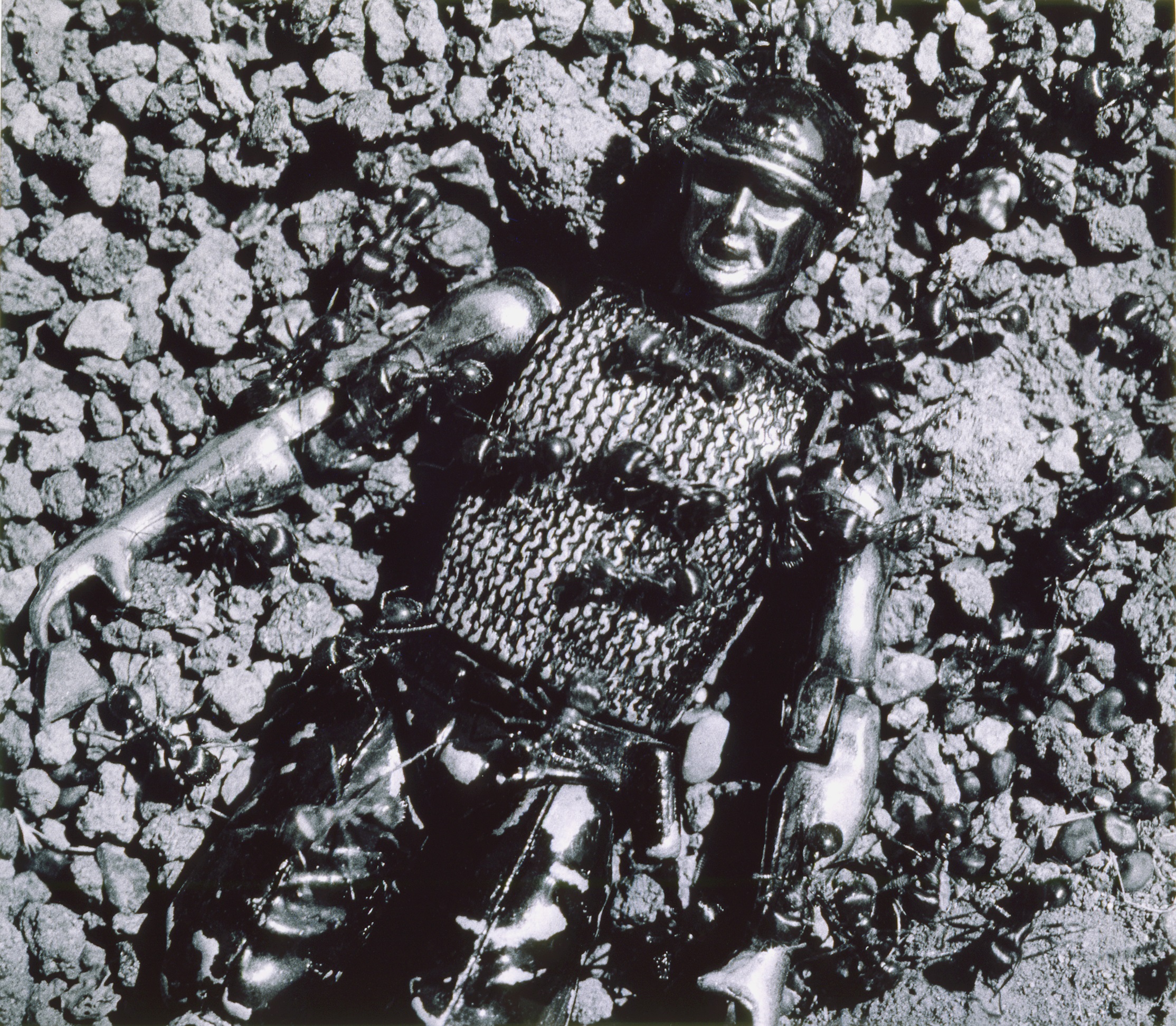 Untitled (Control), 1988 from Ant Series. Gelatin silver print on paper, 40.5x47 in.