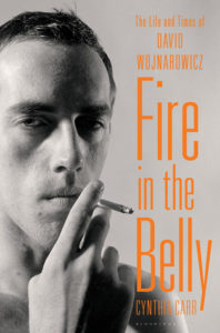 Fire in the Belly: The Life and Times of David Wojnarowicz by Cindy Carr