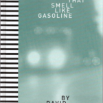 David Wojnarowicz Memories that Smell like Gasoline: In the Shadow of the American Dream 1992