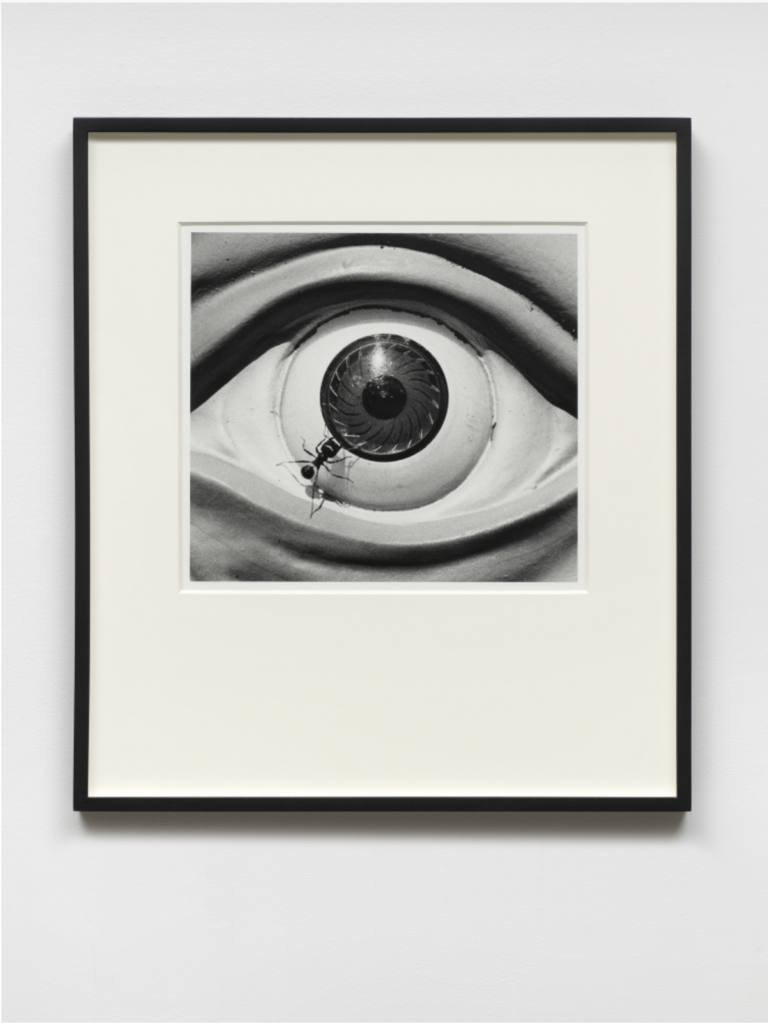 Untitled (eye with ants) 1988-89