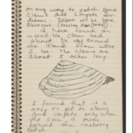 1971 journal entry from The David Wojnarowicz Papers courtesy The Downtown Collection Fales Library and Special Collections, New York University.