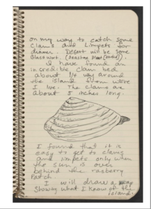 1971 journal entry from The David Wojnarowicz Papers courtesy The Downtown Collection Fales Library and Special Collections, New York University.