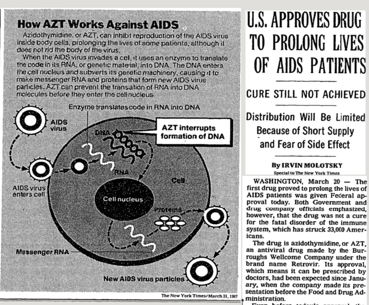 New York Times article on AZT, 1987
