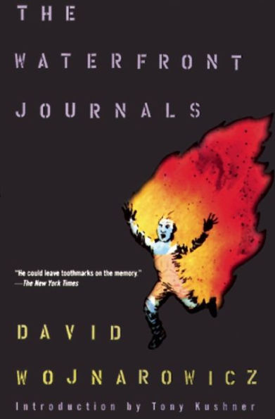 David Wojnarowicz, The Waterfront Journals. Edited by Amy Scholder. New York: Grove Press, 1996.